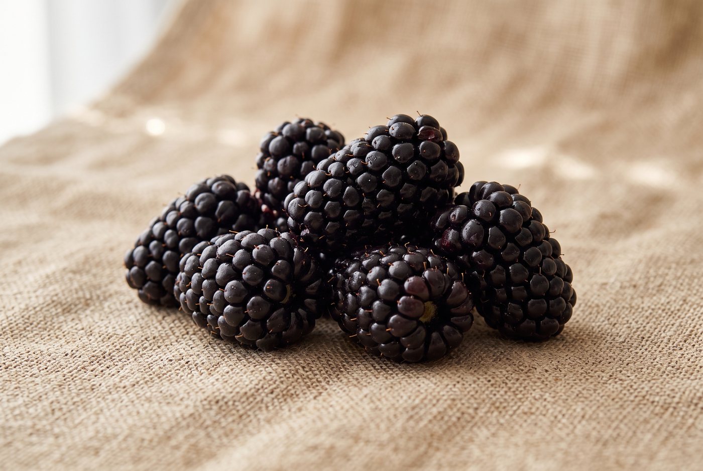 Natchez blackberry cluster