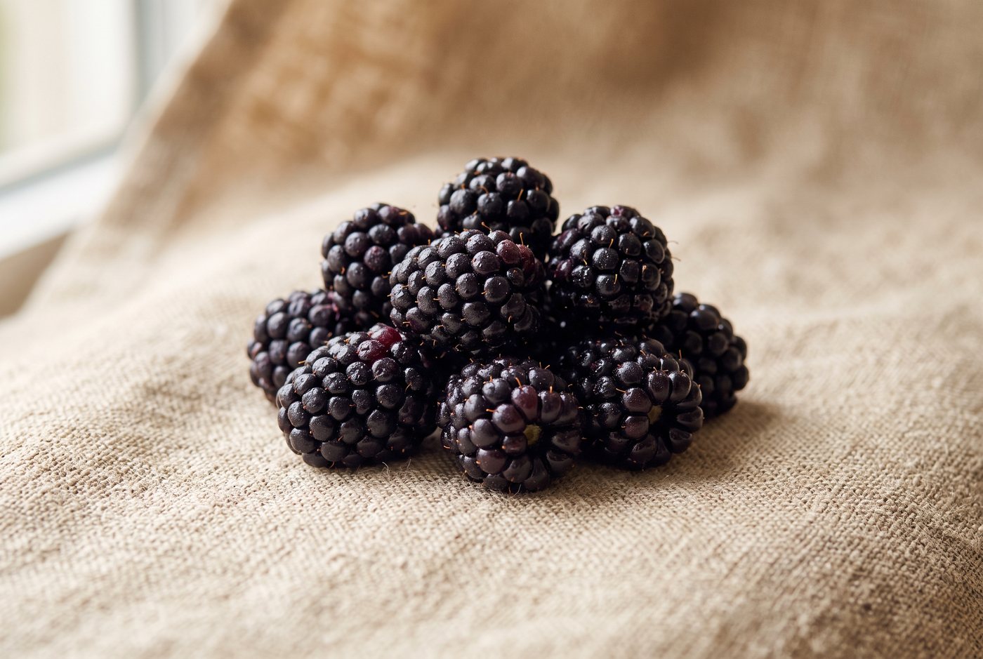 Ouachita blackberry cluster